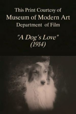 A Dog's Love's poster