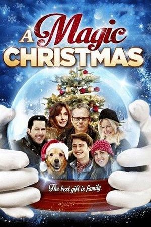 A Magic Christmas's poster