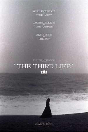 The Third Life's poster