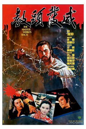 The Master Strikes Back's poster