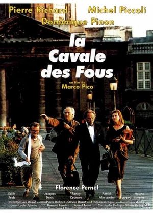 La cavale des fous's poster