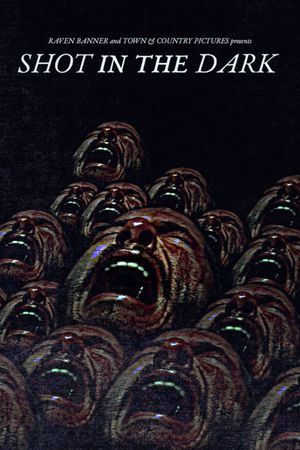 Shot in the Dark's poster