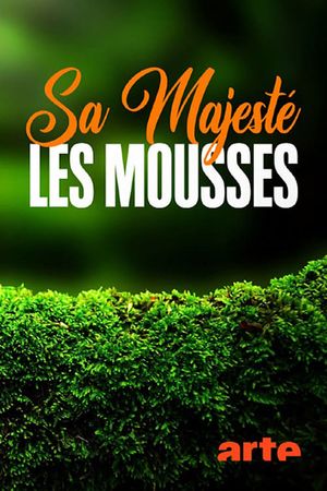 The Magical World of Moss's poster