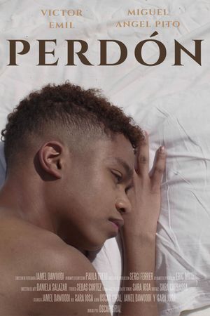 PERDÓN's poster image