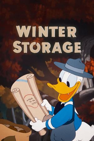 Winter Storage's poster