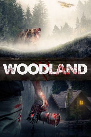Woodland's poster