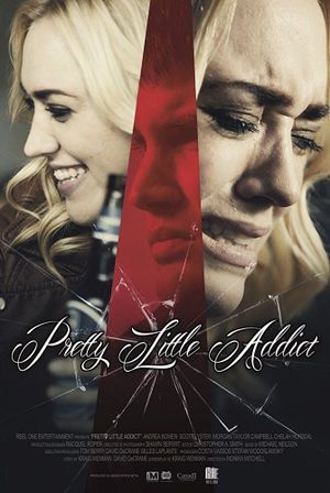 Pretty Little Addict's poster
