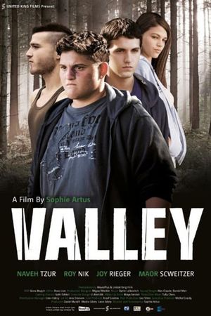 Valley's poster image