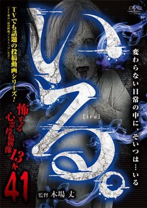 「Iru.」~ Kowasugiru Tōkō Eizō 13-hon ~ Vol.41's poster