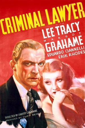 Criminal Lawyer's poster