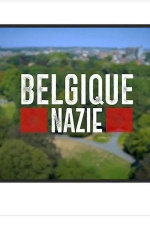 Belgique nazie's poster