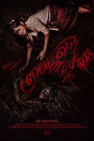 The Dark Beam's poster