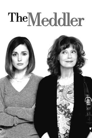 The Meddler's poster