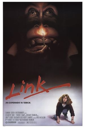 Link's poster