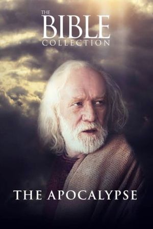 The Apocalypse's poster