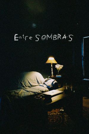 Entre sombras's poster