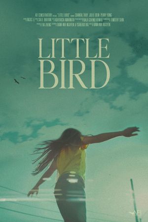 Little Bird's poster