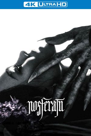 Nosferatu's poster