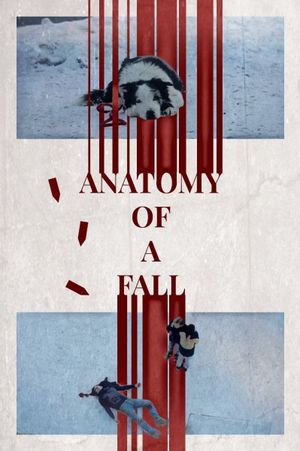 Anatomy of a Fall's poster