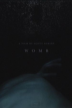 Womb's poster