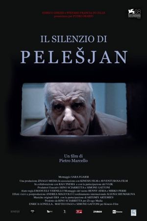 The Silence of Pelesjan's poster