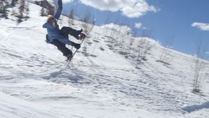 Warren Miller's Line of Descent's poster