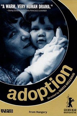 Adoption's poster