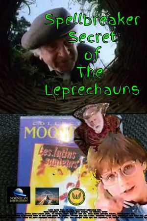 Spellbreaker: Secret of the Leprechauns's poster