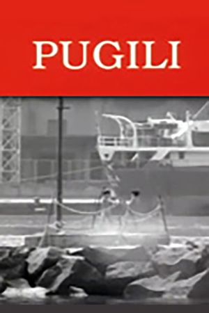 Pugili's poster