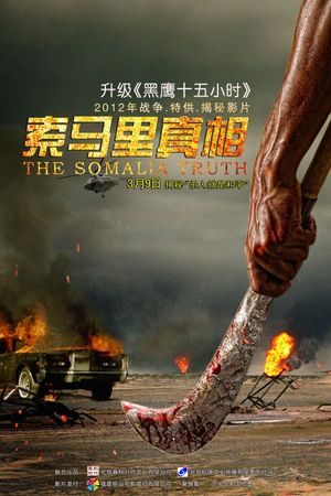 索马里真相's poster