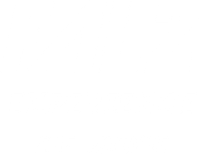 Falz Experience: The Movie's poster