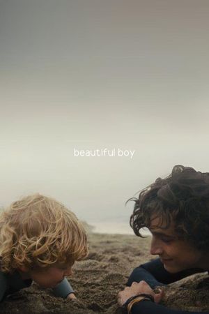 Beautiful Boy's poster