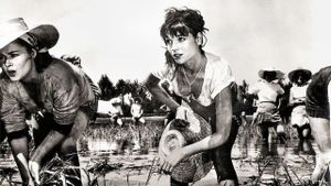 Rice Girl's poster