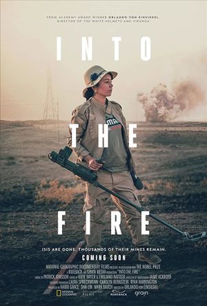 Into the Fire's poster