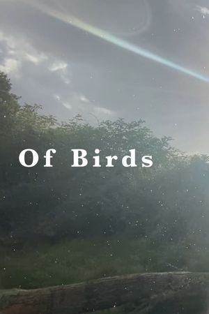 Of Birds's poster