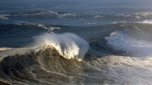 The Perfect Wave: Big Wave Surfing in Portugal's poster