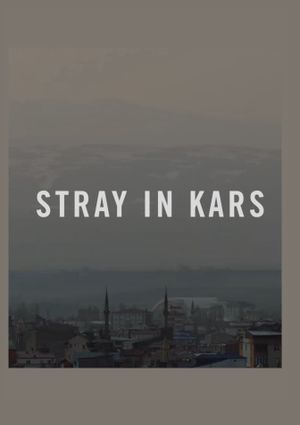 Stray in Kars's poster image