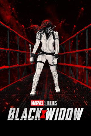 Black Widow's poster