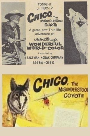 Chico, the Misunderstood Coyote's poster