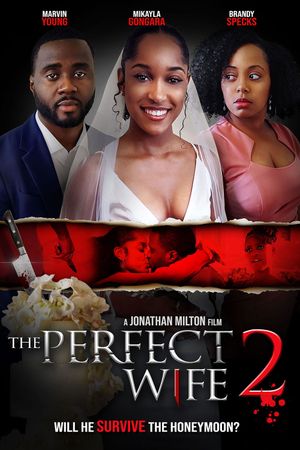The Perfect Wife 2's poster