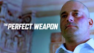The Perfect Weapon's poster