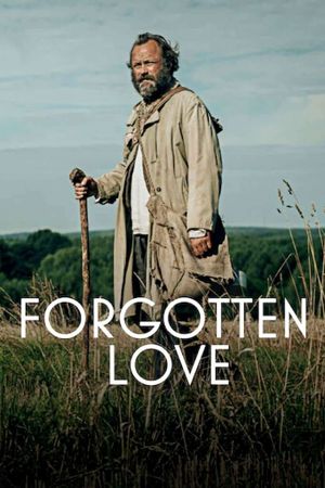 Forgotten Love's poster