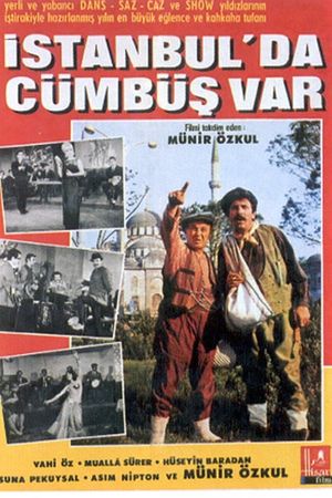 Istanbul'da cümbüs var's poster