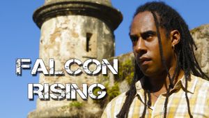 Falcon Rising's poster