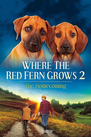 Where The Red Fern Grows Part 2's poster