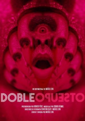 Double Opposite's poster