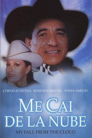 Me caí de la nube's poster