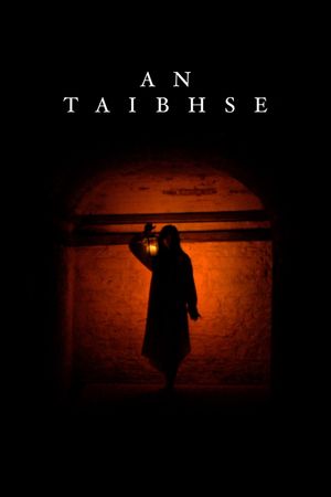 An Taibhse's poster