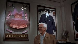 Naked Gun 33 1/3: The Final Insult's poster