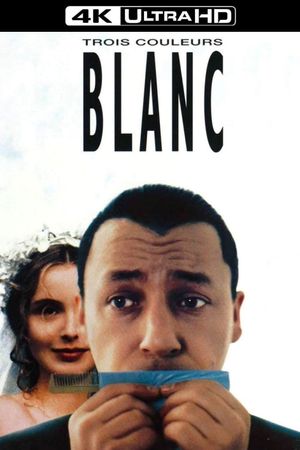 Three Colors: White's poster